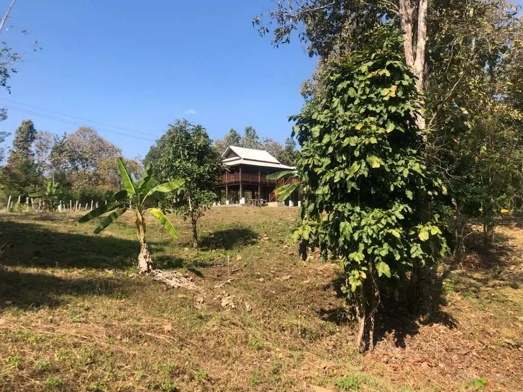 Own a 14-Rai Sanctuary with Teak House in Scenic Mae On
