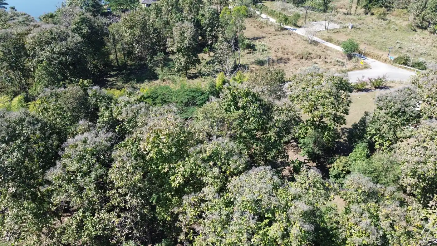 Own a 14-Rai Sanctuary with Teak House in Scenic Mae On