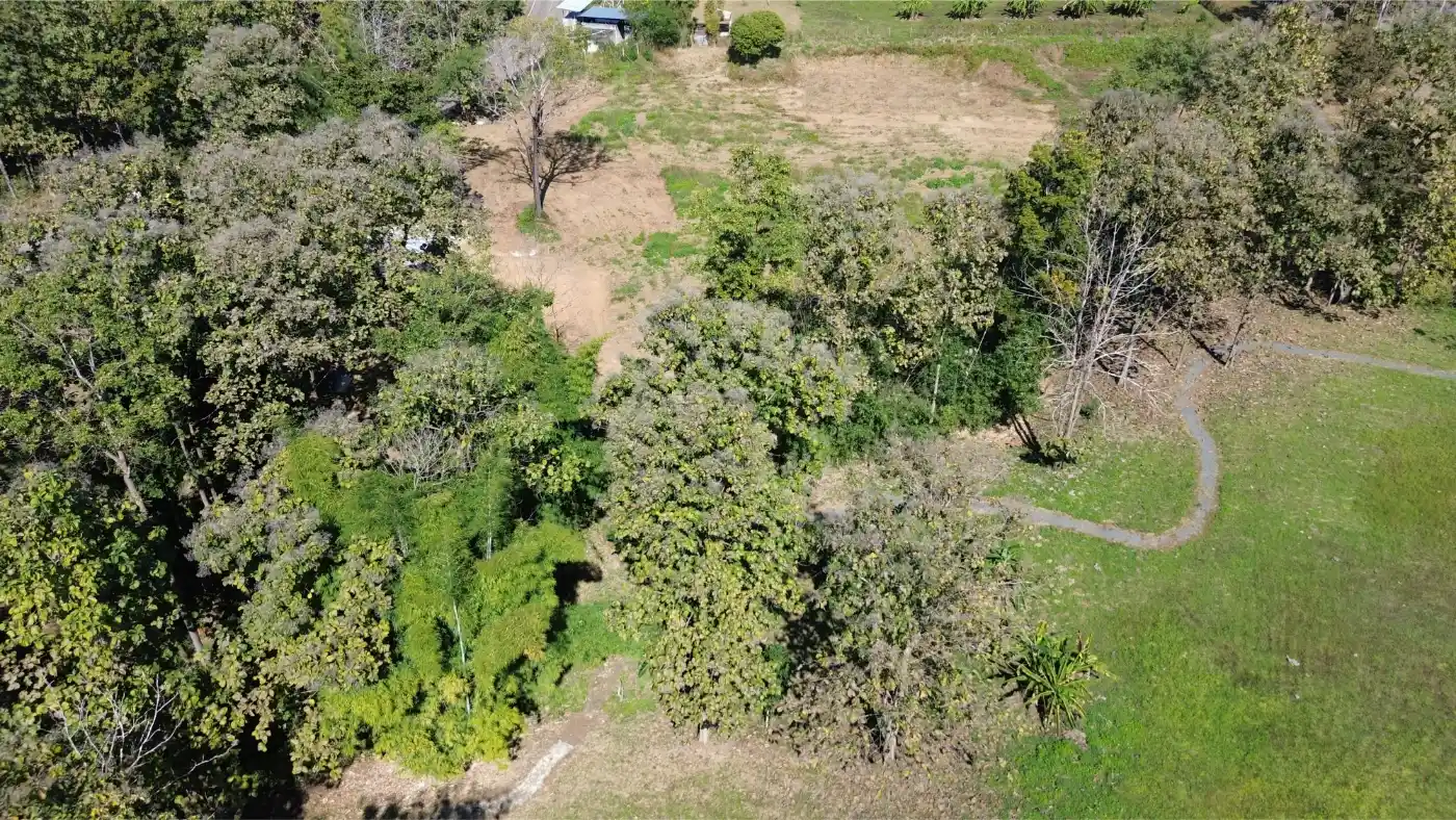 Own a 14-Rai Sanctuary with Teak House in Scenic Mae On