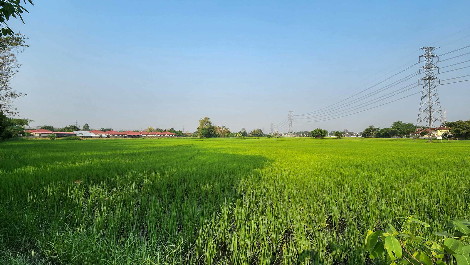 โอกาสในการพัฒนา: แปลงขนาด 10.5 ไร่ ในอำเภอสันผักหวาน อำเภอหางดง — photo 16 of 17