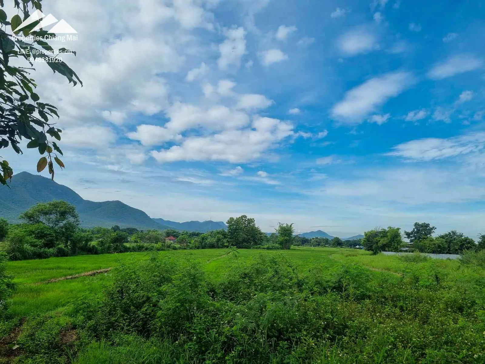 ที่ดินขนาดใหญ่ 48 ไร่ พร้อมวิวภูเขา พร้อมพัฒนา