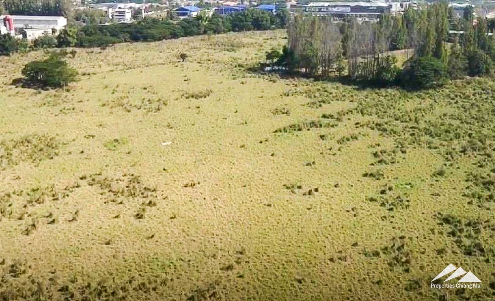 Residential Development Land For Sale on Super Hwy 11 In Saraphi, Chiang Mai — photo 5 of 16