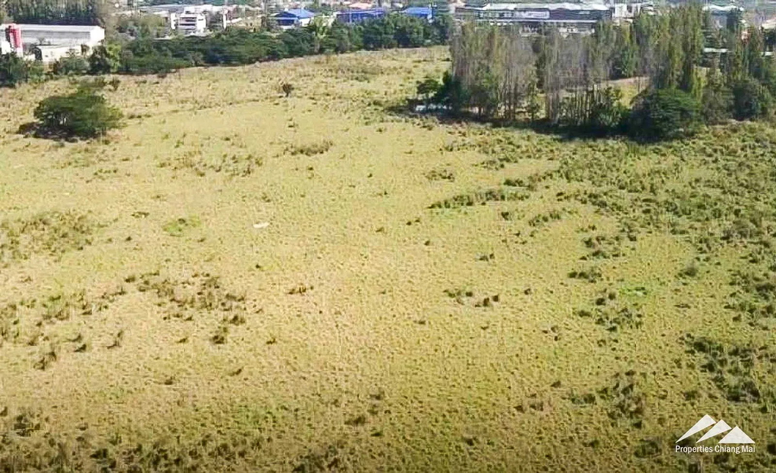 ขายที่ดินพัฒนาที่อยู่อาศัย ซุปเปอร์ไฮเวย์ 11 ในอำเภอสารภี จังหวัดเชียงใหม่ — photo 5 of 16