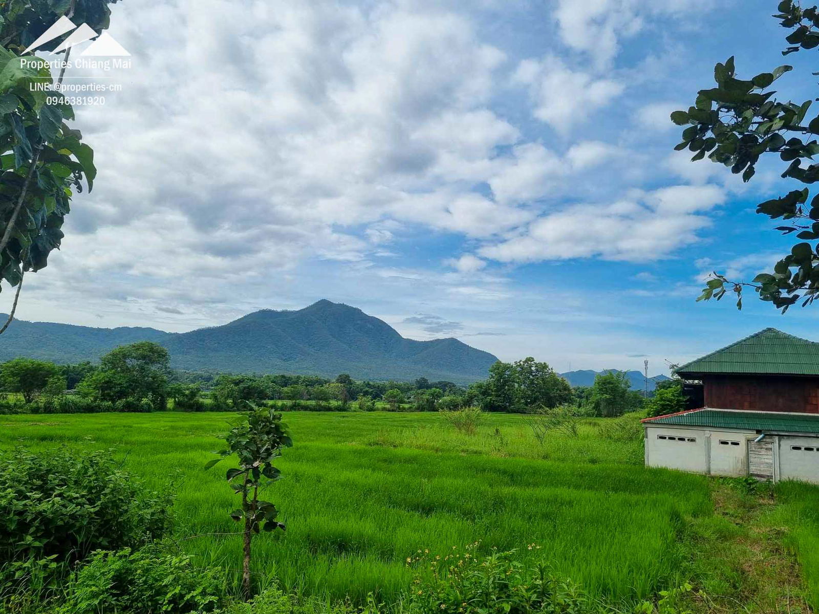 Large 48 Rai Plot Of Land With Mountain Views Ready For Development — photo 5 of 7