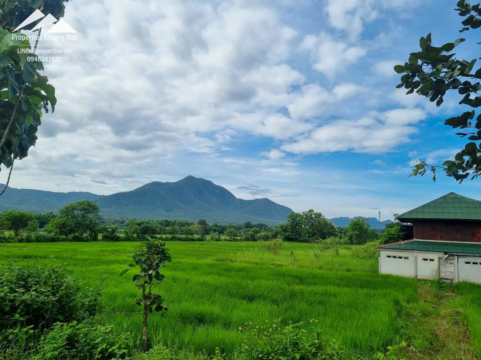 ที่ดินขนาดใหญ่ 48 ไร่ พร้อมวิวภูเขา พร้อมพัฒนา — photo 5 of 7