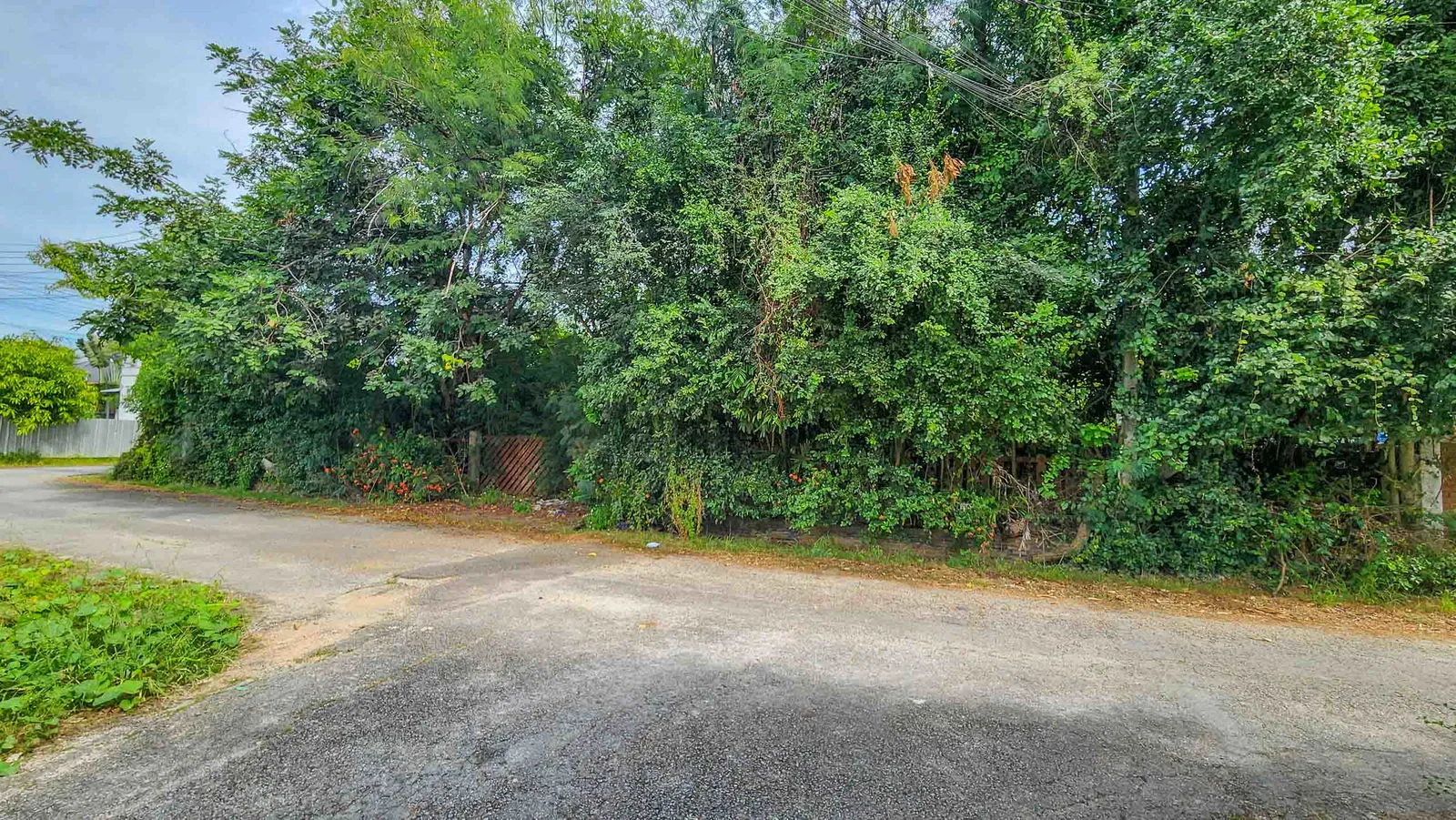 Land - Residential - For Sale - San Sai, Chiang Mai — photo 5 of 10