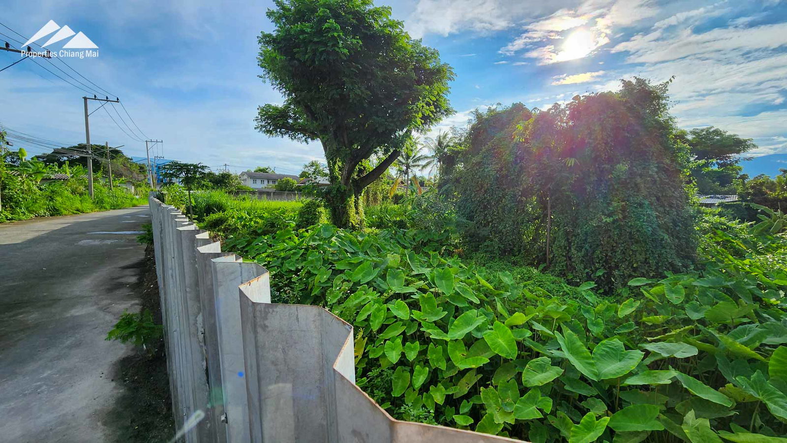 4 Rai + Plot Of Land On The Super Highway - Close To Ping River And Central Festival — photo 3 of 11