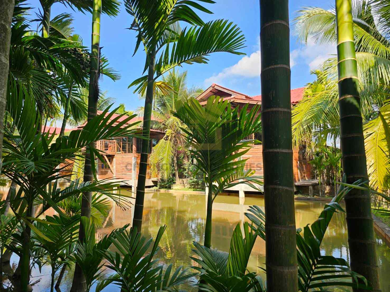 ขายรีสอร์ต 20 วิลล่า พร้อมใบอนุญาต สันป่าตอง | 80 ล้านบาท — photo 4 of 15