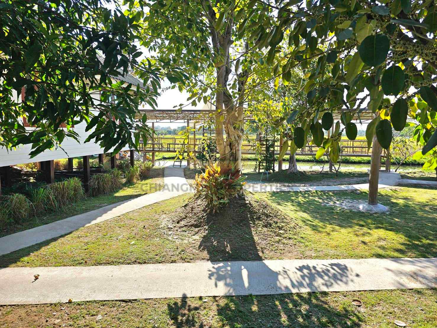 ขายรีสอร์ต 20 วิลล่า พร้อมใบอนุญาต สันป่าตอง | 80 ล้านบาท — photo 7 of 15