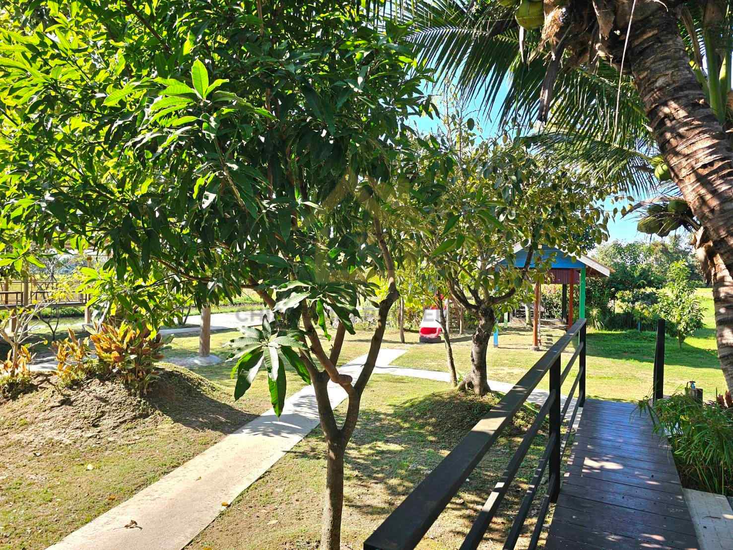 ขายรีสอร์ต 20 วิลล่า พร้อมใบอนุญาต สันป่าตอง | 80 ล้านบาท — photo 9 of 15