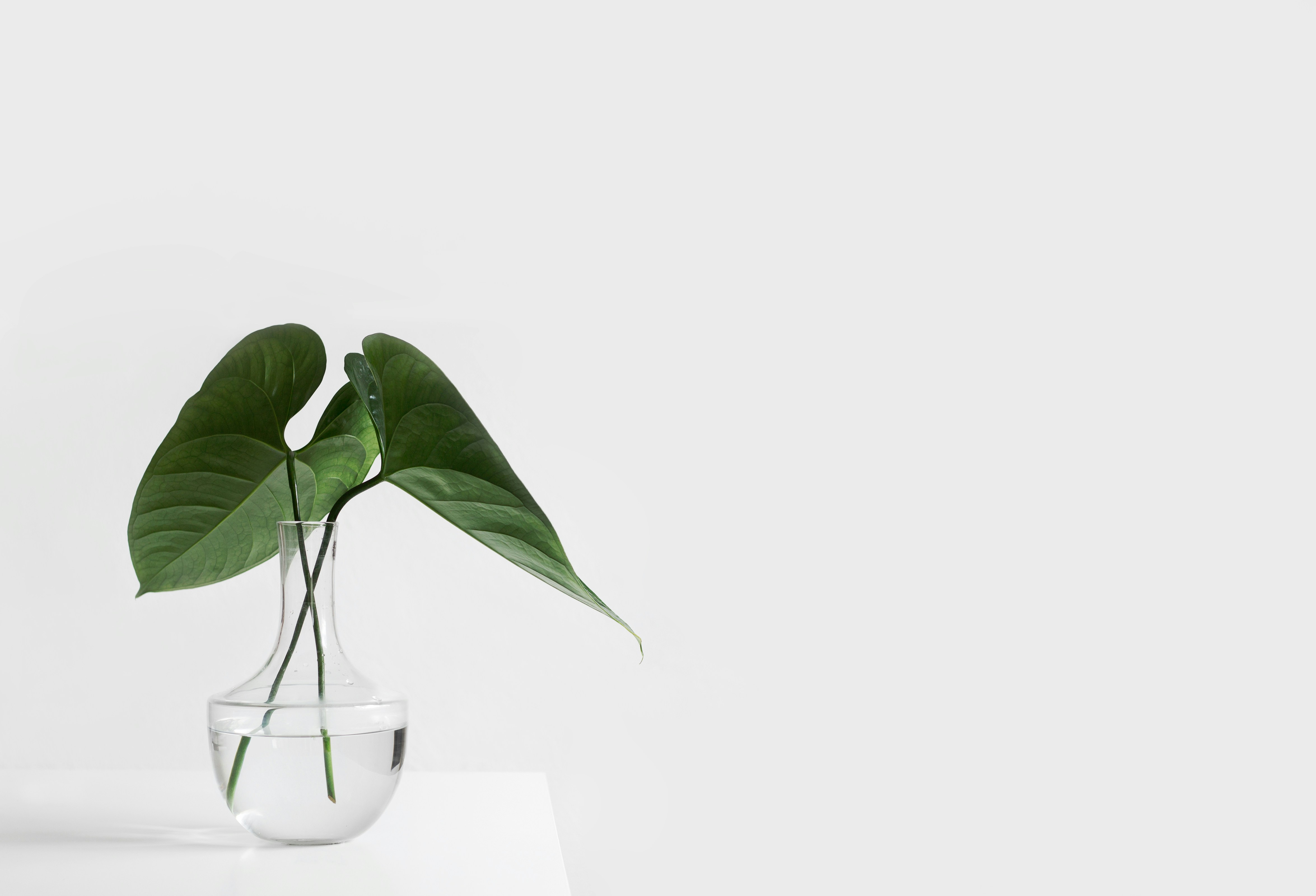 Carbon neutrality in retail and the overproduction problem