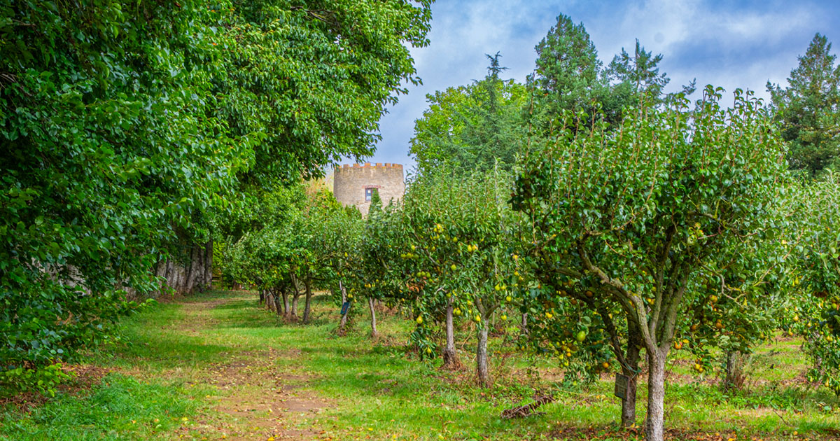 Windmill Orchards in Banbury