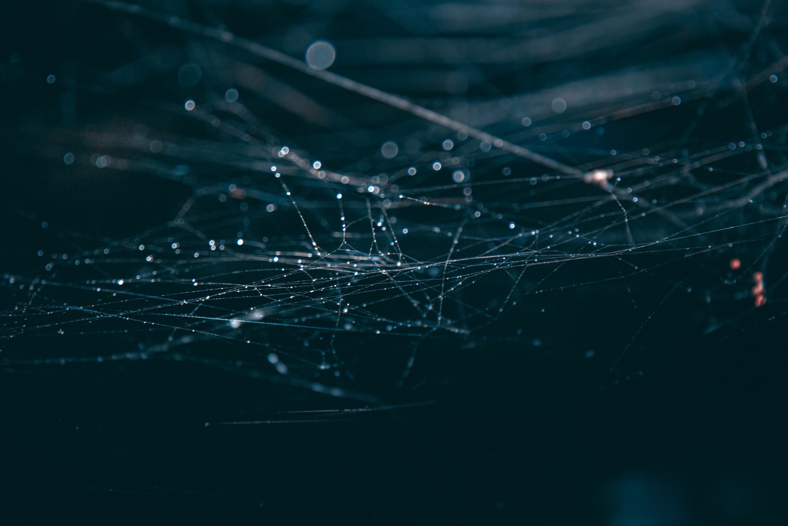 Abstract network of light points and lines on dark blue
