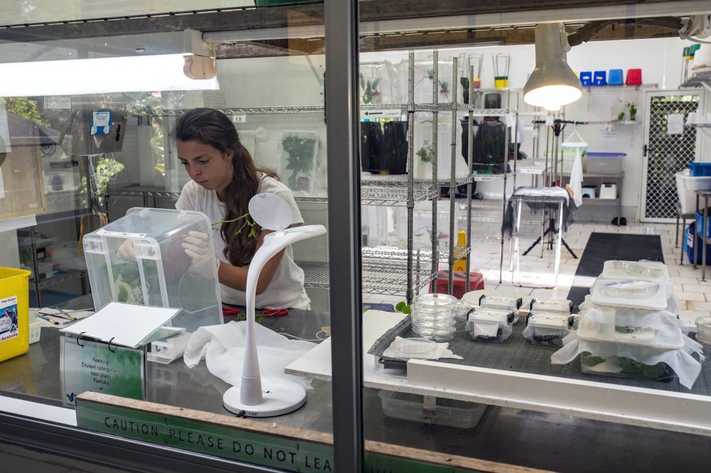 Production process  for a product made in Australia