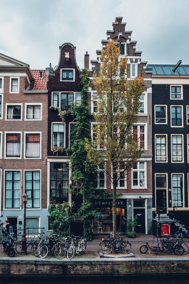 Bicycles parked along a canal in front of tall, narrow Amsterdam canal houses with a tree in autumn foliage.