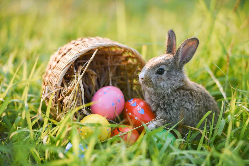 Kaninchen neben Osterkorb mit bunten bemalten Eiern im grünen Gras