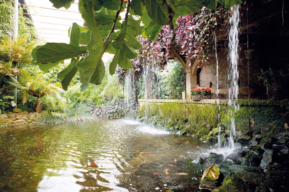 Üppiger Garten mit Wasserfällen, Teich und üppiger Vegetation in grünen Tönen