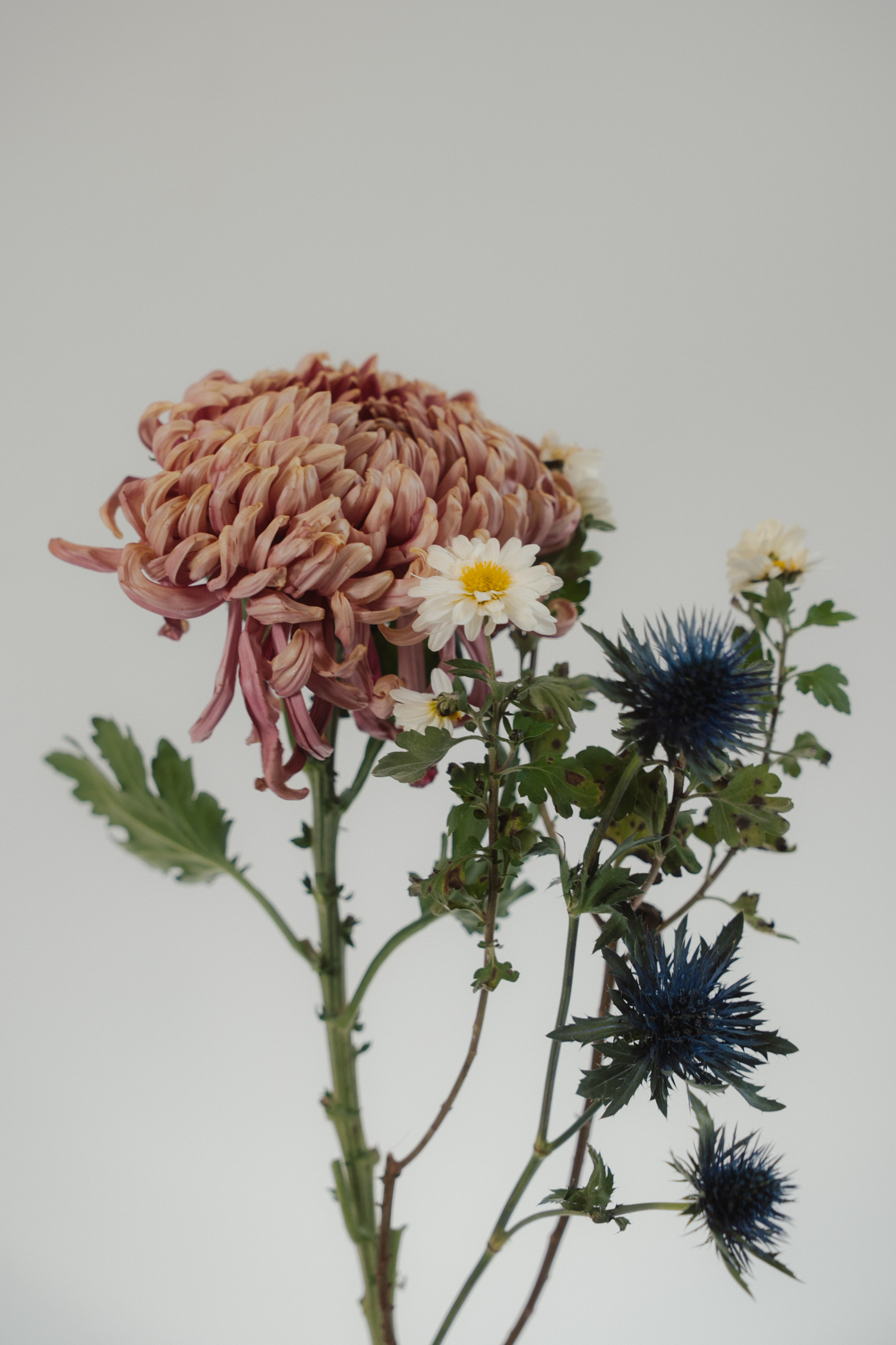 Dr. med Eva-Maria Schlomm desinfiziert ihre Hände am Waschbecken