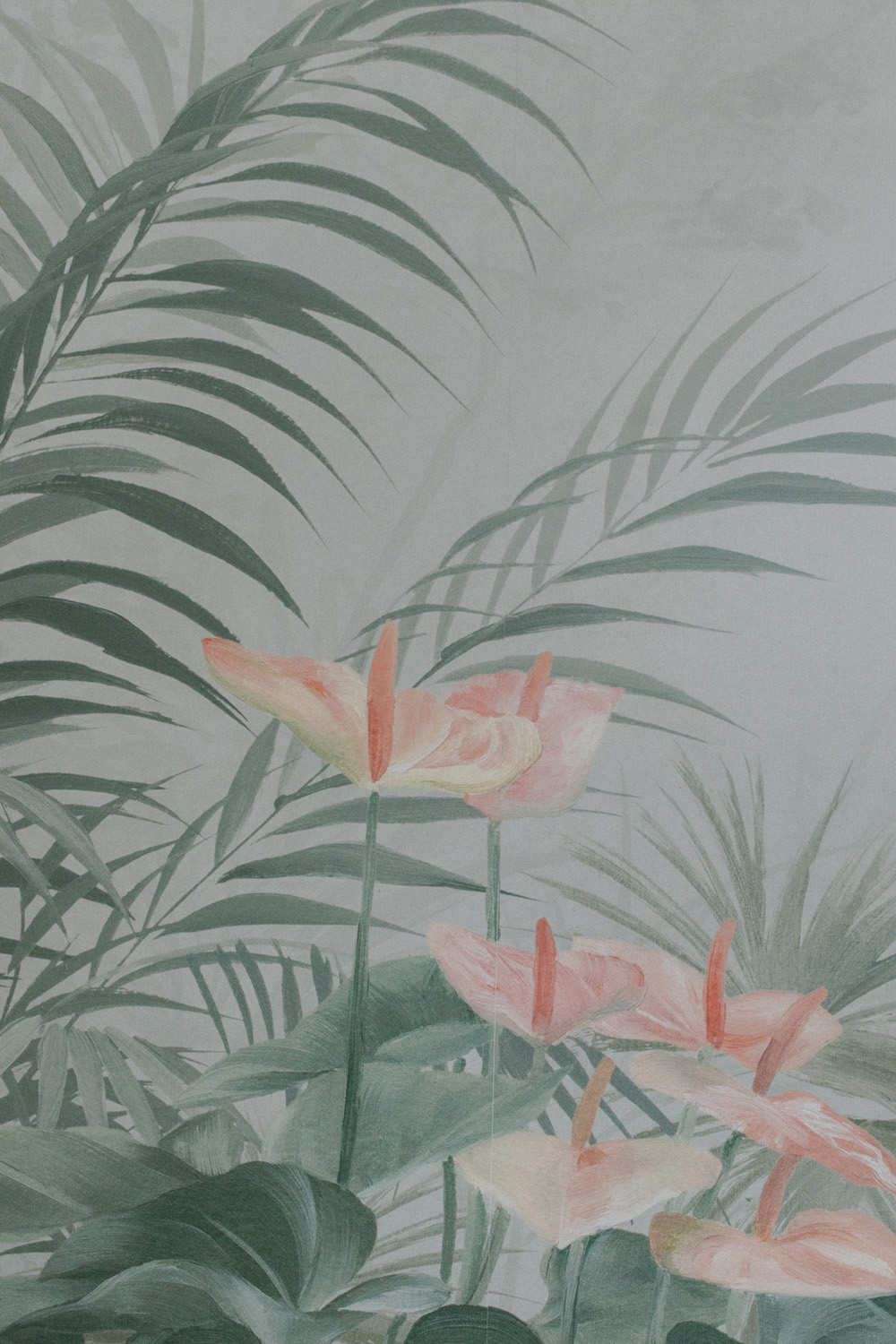 Sanfte, pastellfarbene Anthuriumblüten vor grünen, tropischen Blättern.