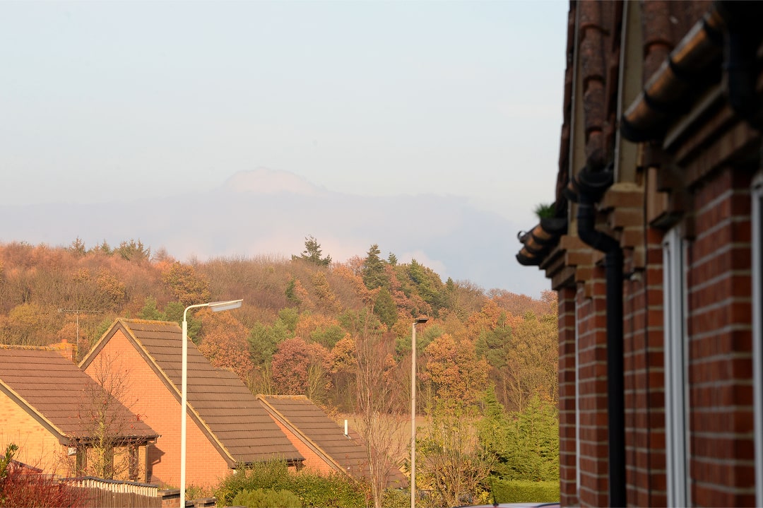 view of rooftops with trees in background