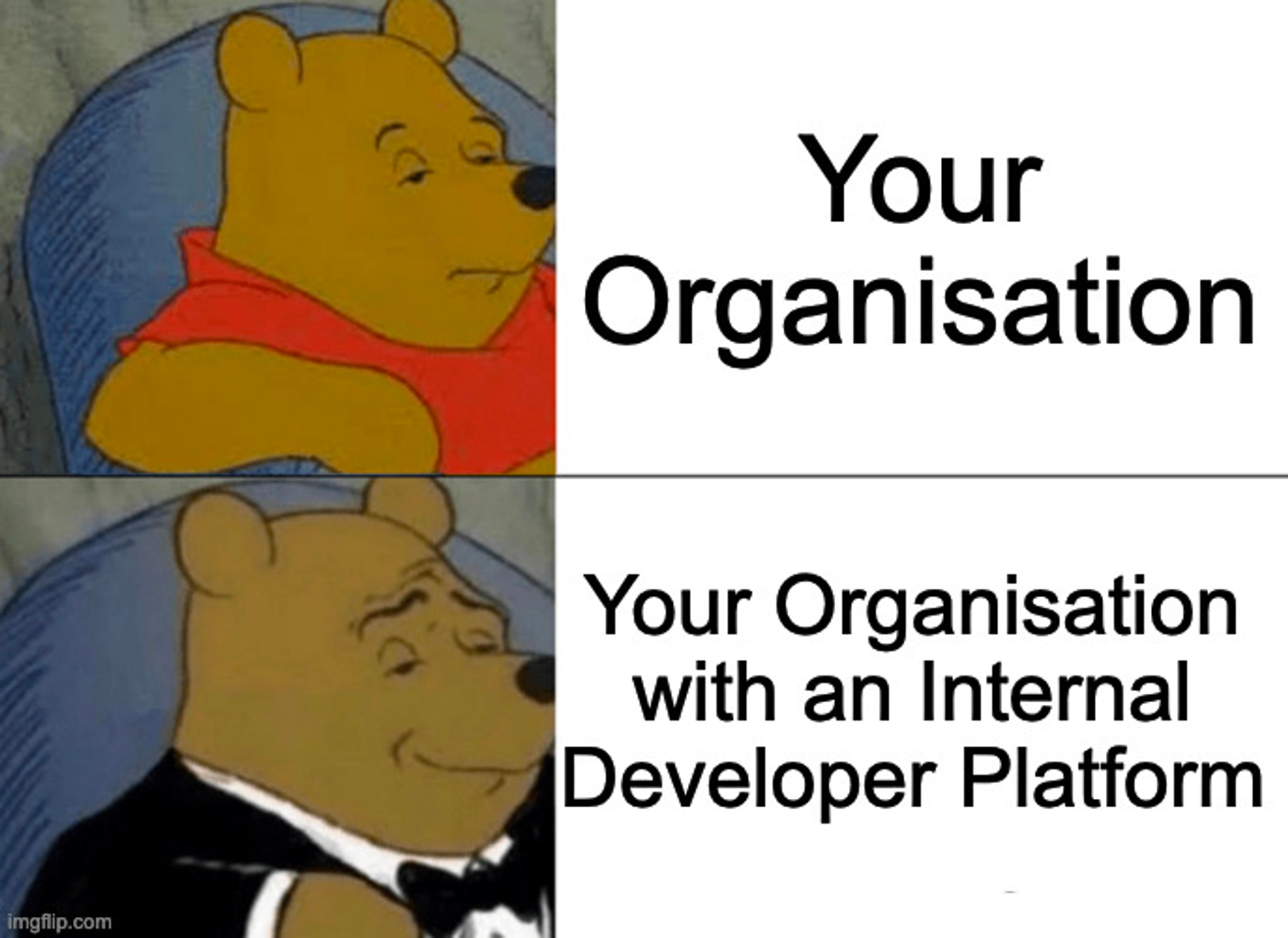Companies with and without Internal Developer Platforms