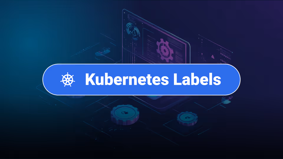 mogenius office insights