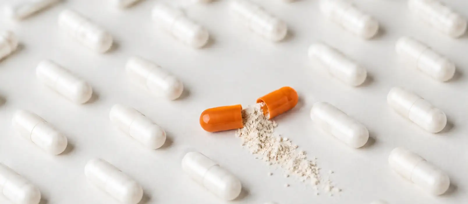 Probiotiques : une fausse bonne idée ? Ce que la science dit vraiment de la santé intestinale