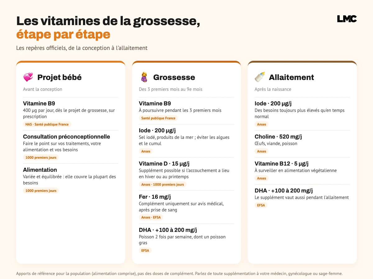 Infographie des vitamines de la grossesse étape par étape : vitamine B9, iode, vitamine D, fer, DHA et choline selon la HAS, l'Anses et l'EFSA