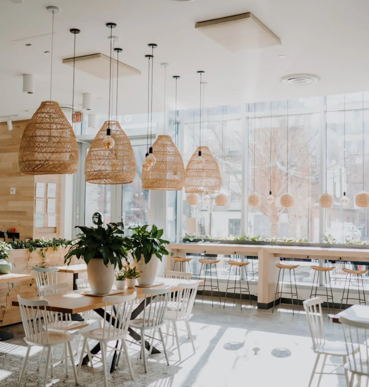 AirDish webflow template image