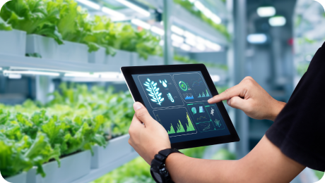Person holding a tablet displaying agricultural data charts inside a modern indoor vertical farm with leafy green plants.