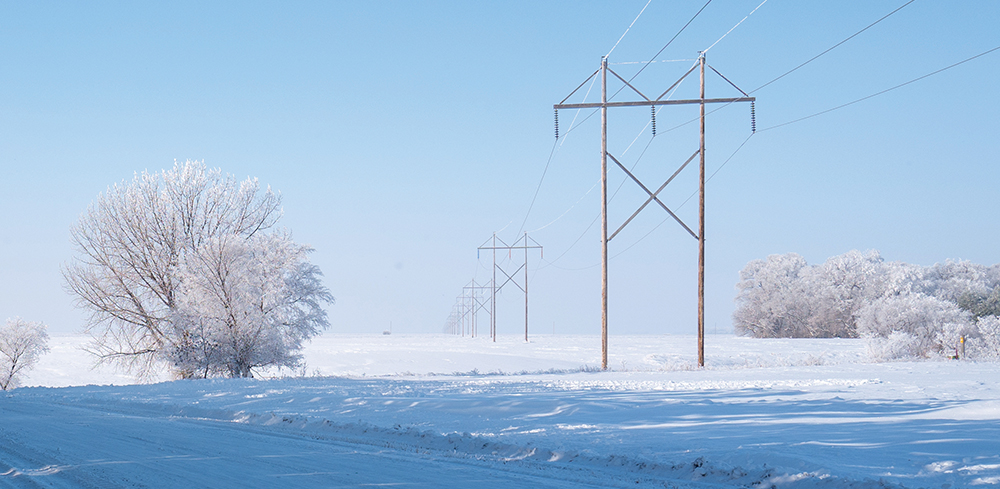 A 230-kV power line in winter with snow and frosty trees