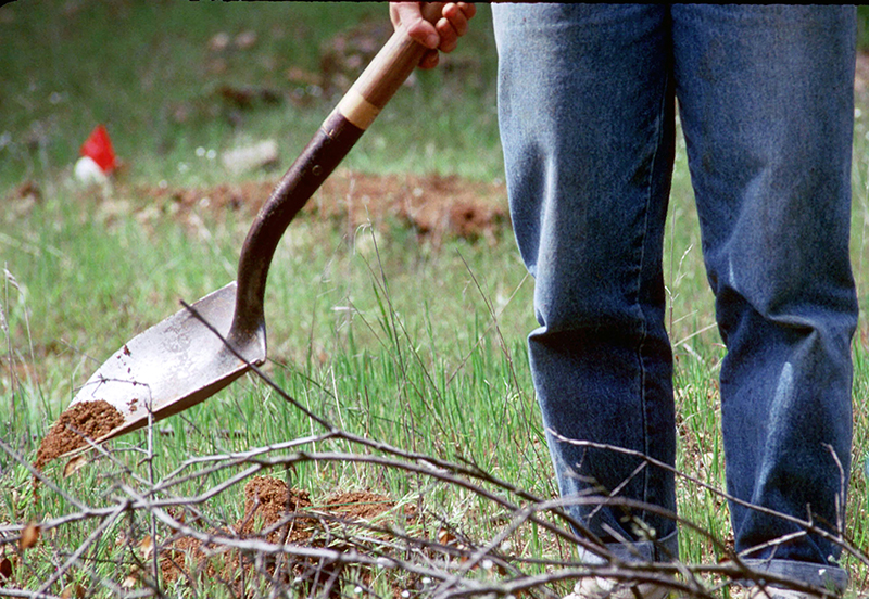 A person holding a shovel