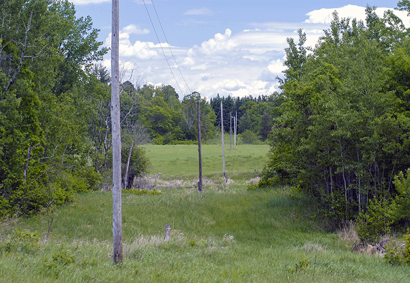 A clear right of way for a transmission line