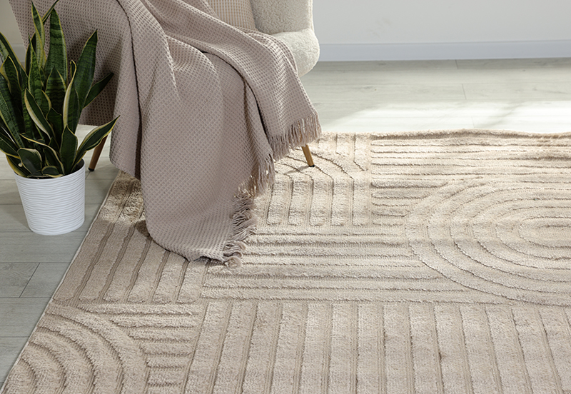 A floor rug in a home