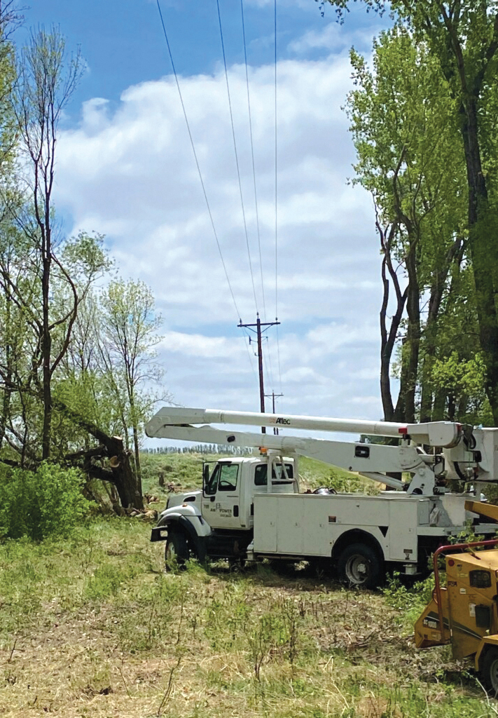 Tree trimming for right of way