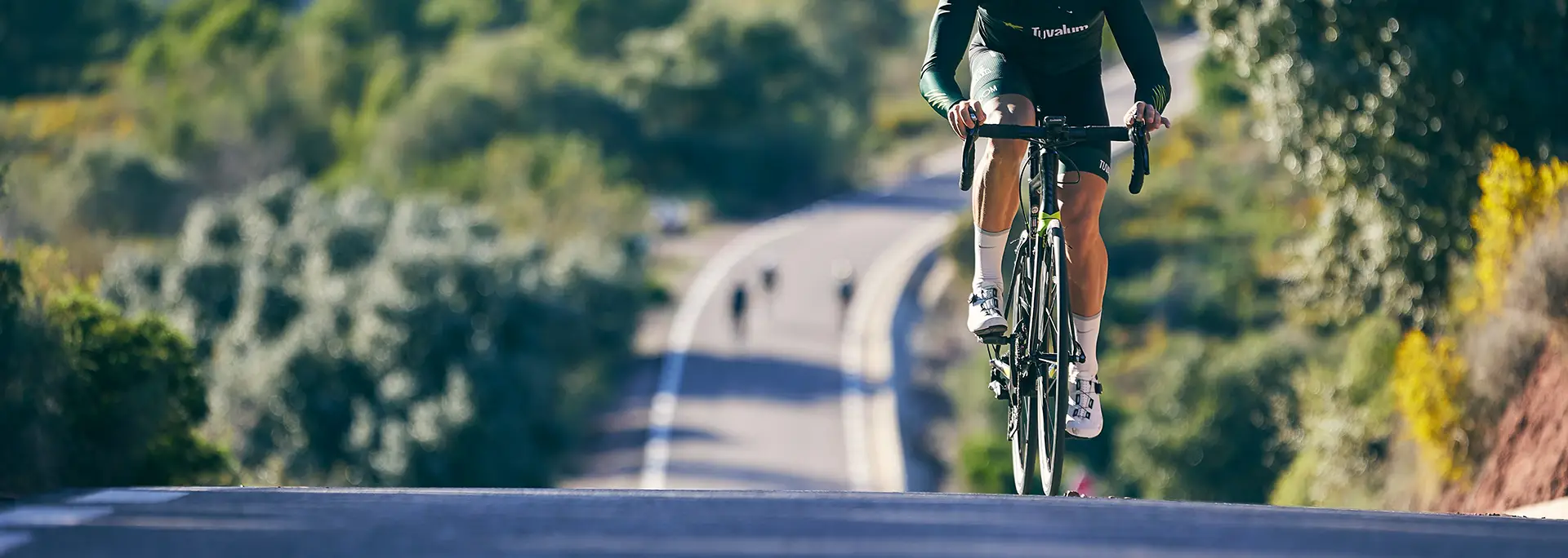 Road cyclist climbing a hill through trees — build climbing strength with science-backed training