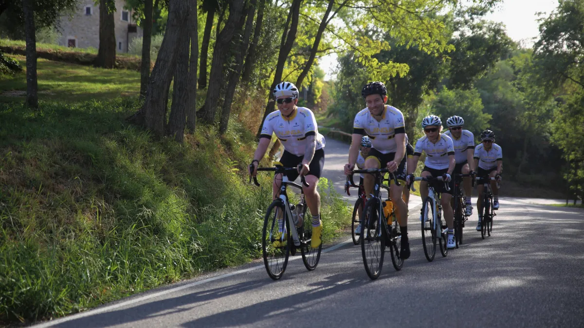 Group of cyclists on road