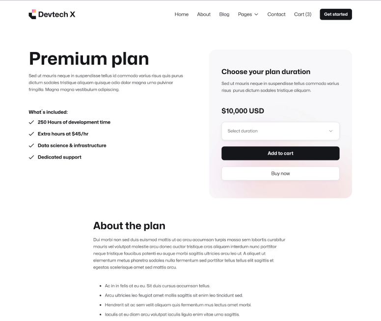 Devtech X - Package Single Page - The Ultimate Tech Development Agency Webflow Template