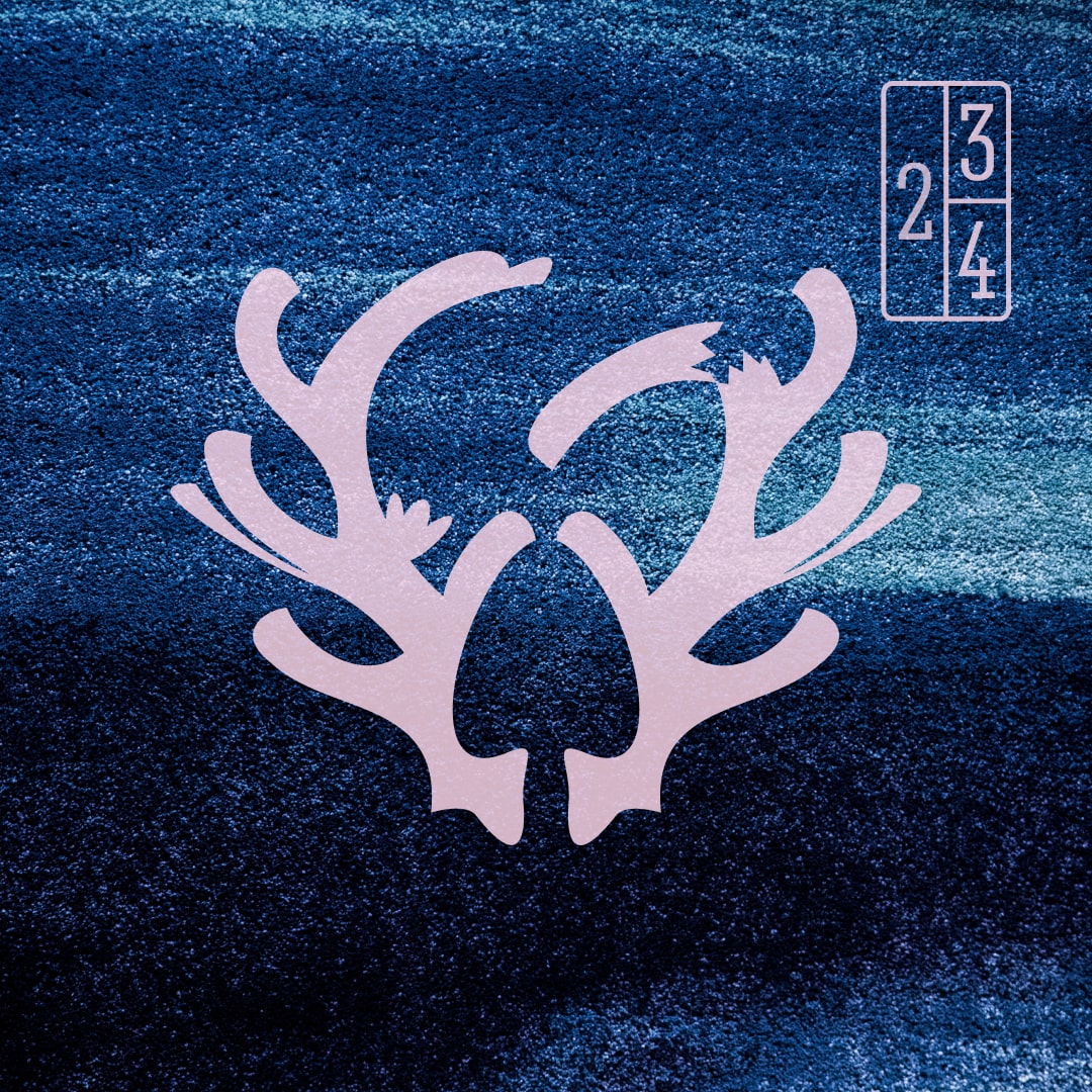 Dans la nuit ou était-ce plutôt le matin