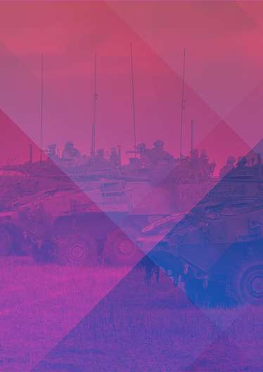  2017 DSEI GOA Mission Report