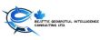 Beattie Geospatial Intelligence Consulting Ltd