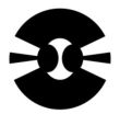 Dragonfly Systems Inc.