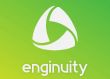 Enginuity Inc.