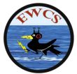 EWCS (Electronic Warfare Consulting Services) Inc.
