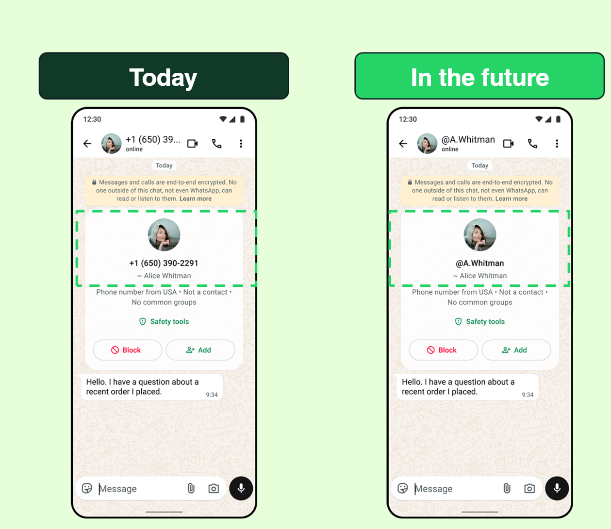 Official WhatsApp documentation showing how usernames will look on the messaging platform