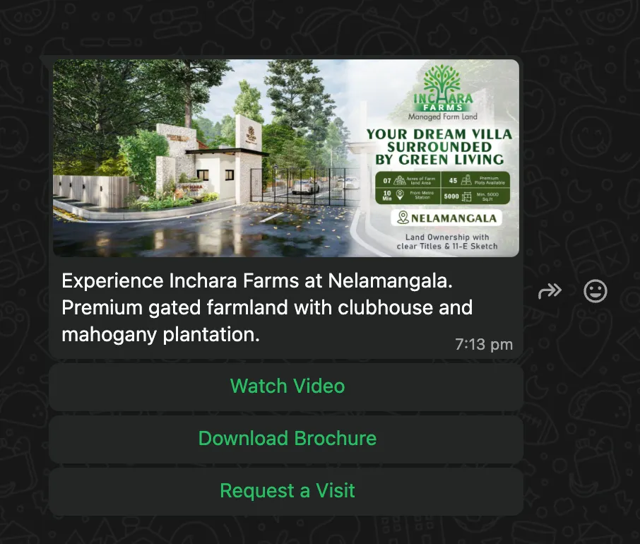 Alt text: Media + Button cards on WhatsApp chatbot