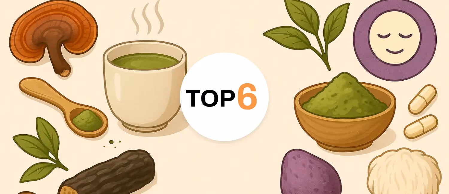 🌱 Meilleur complément alimentaire anti-stress : top 6 des marques pour apaiser votre esprit naturellement.