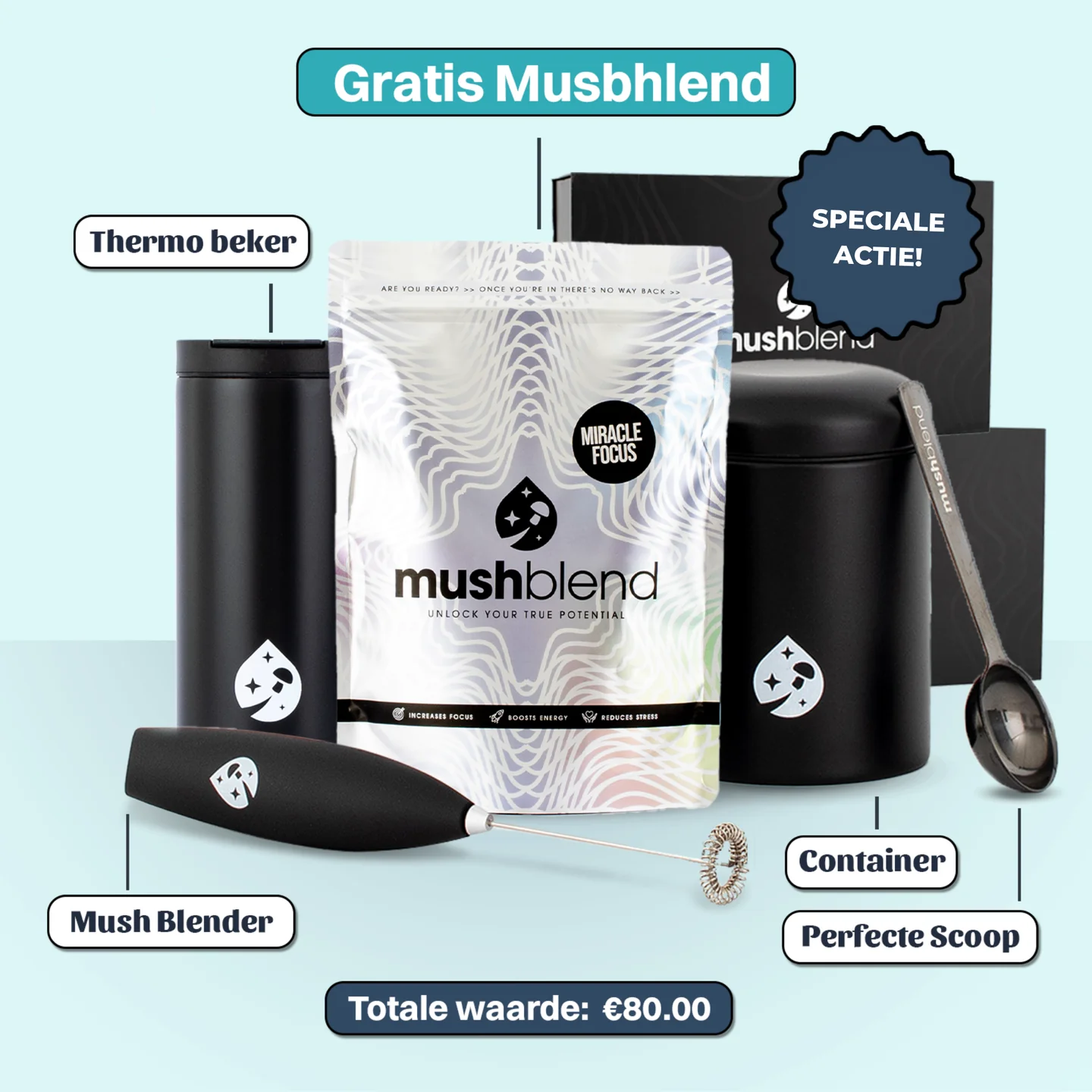 Miracle Focus - Mushblend