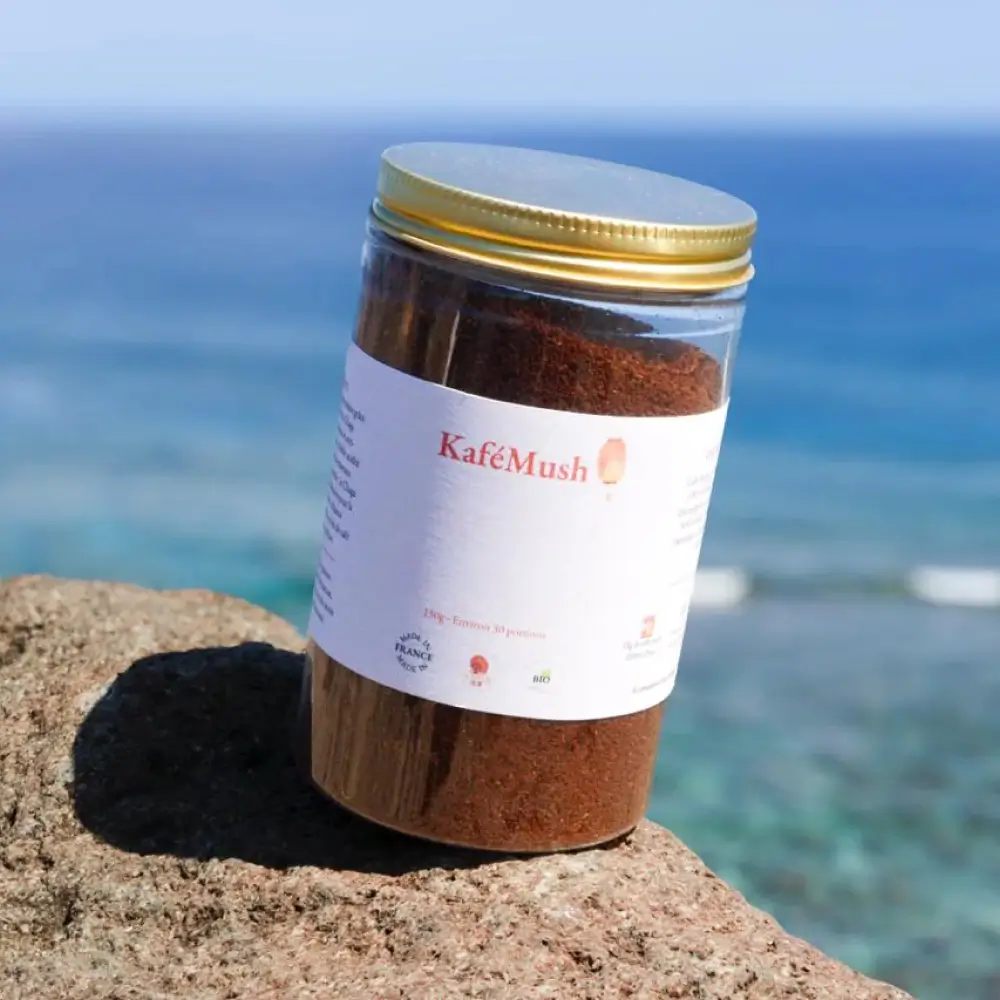 Café Focus - Kaizen Mush