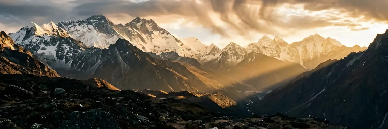 Top 8 des meilleures marques de Shilajit pur (2026) : comparatif pour choisir en confiance